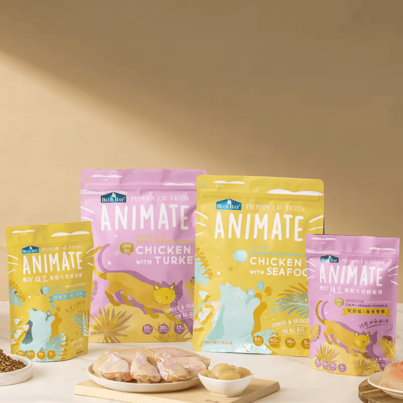 圖中展示了四包不同口味的倍力 Animate 渴望系列貓飼料，包裝上印有可愛的貓咪圖案，前方擺放著鮮肉與食材。