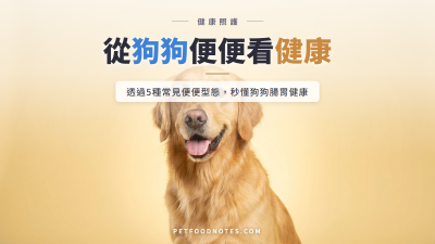 狗狗便便型態判斷健康：5種排便狀況解析