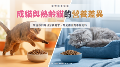 成貓與熟齡貓營養差異：為什麼飼料不能一直吃同一種？