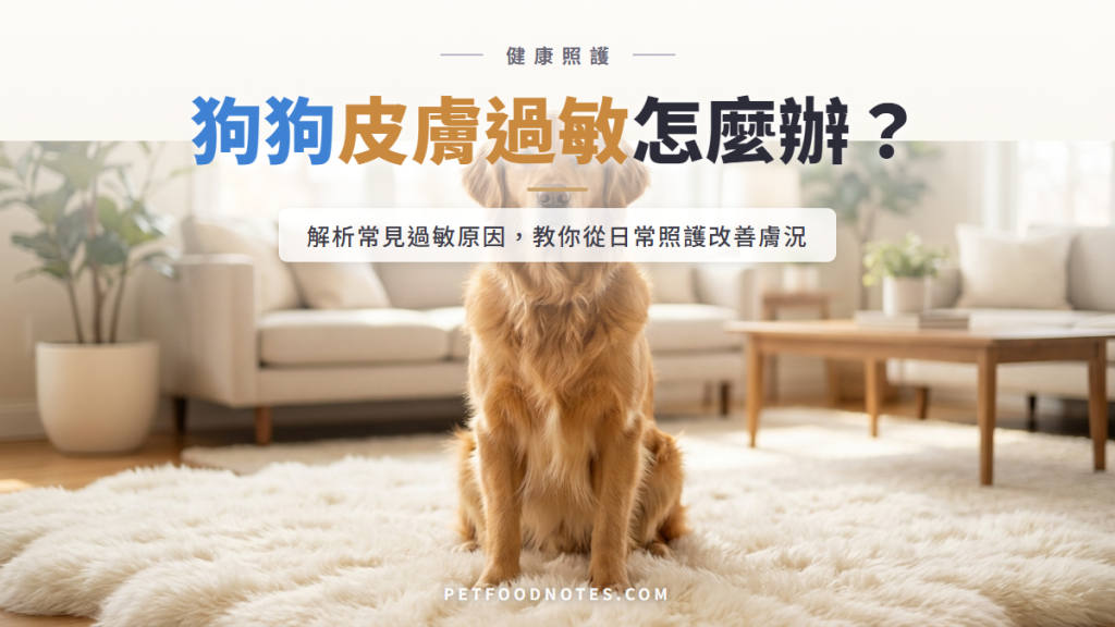 狗狗皮膚過敏怎麼辦？常見原因與改善方式整理