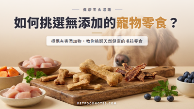 寵物零食選購指南：避免添加物的健康考量