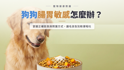 狗狗腸胃敏感怎麼辦？飲食調整與照護方式