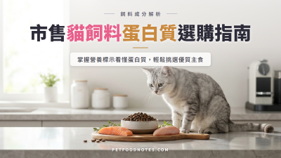 市售貓飼料蛋白質含量與選購指南