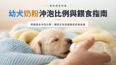 幼犬奶粉正確沖泡比例與餵食指南