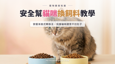 貓咪換飼料教學：安全轉換新飼料的完整方法