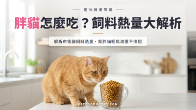市售貓飼料熱量分析：胖貓該怎麼控制份量？