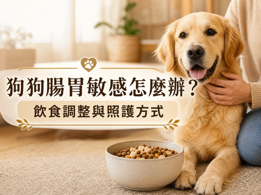 狗狗腸胃敏感怎麼辦？飲食調整與照護方式