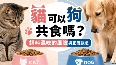 貓狗可以共食嗎？飼料混吃的風險與正確觀念