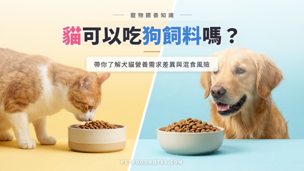 貓可以吃狗飼料嗎？犬貓營養需求差異解析