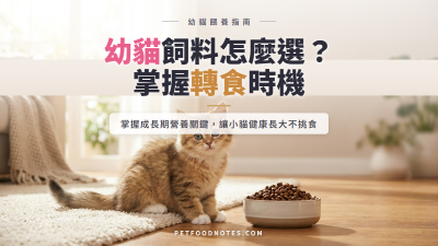 幼貓飼料怎麼選：成長期營養需求與轉食時機