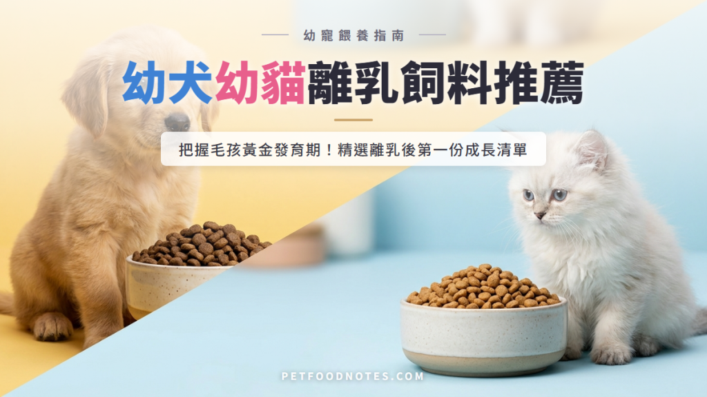 幼犬幼貓成長飼料推薦：離乳後的第一份清單