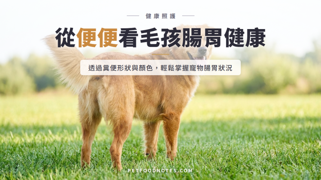 毛孩糞便健康觀察指南：從便便看腸胃狀況