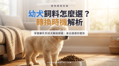 幼犬飼料怎麼選：離乳期到成犬的轉換時機全解析
