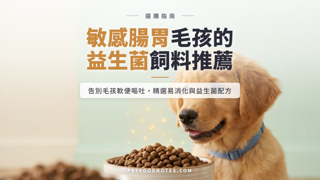 敏感腸胃毛孩飼料推薦：益生菌與易消化配方