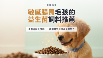 敏感腸胃毛孩飼料推薦：益生菌與易消化配方