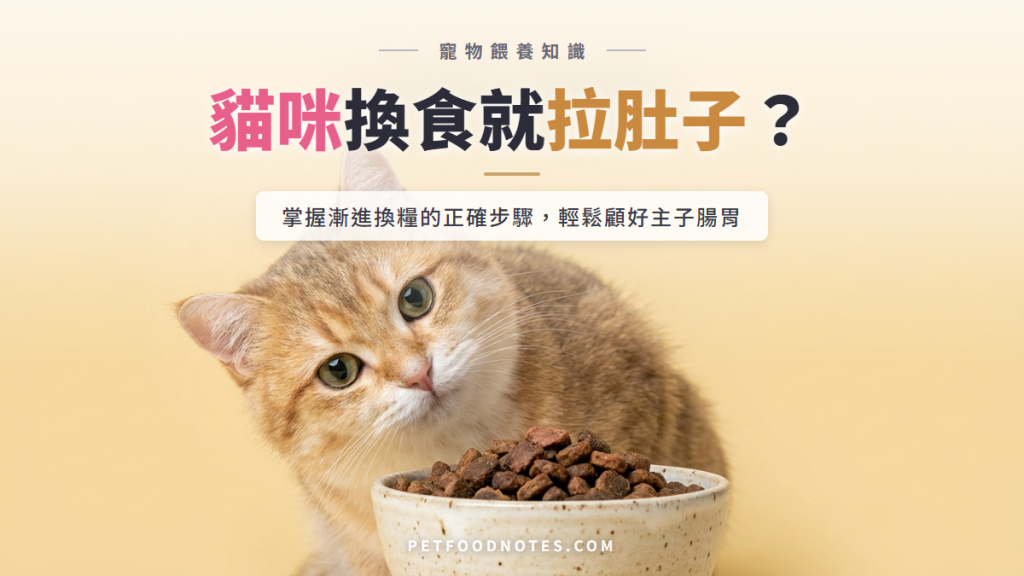 貓咪換食就拉肚子？漸進換糧的正確步驟