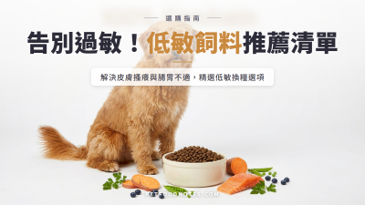 低敏飼料推薦清單：過敏毛孩的換糧選項
