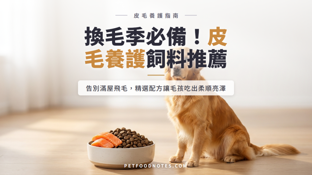 換毛季皮毛養護飼料推薦：吃出亮澤毛髮