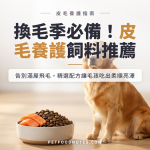 換毛季皮毛養護飼料推薦：吃出亮澤毛髮