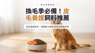 換毛季皮毛養護飼料推薦：吃出亮澤毛髮