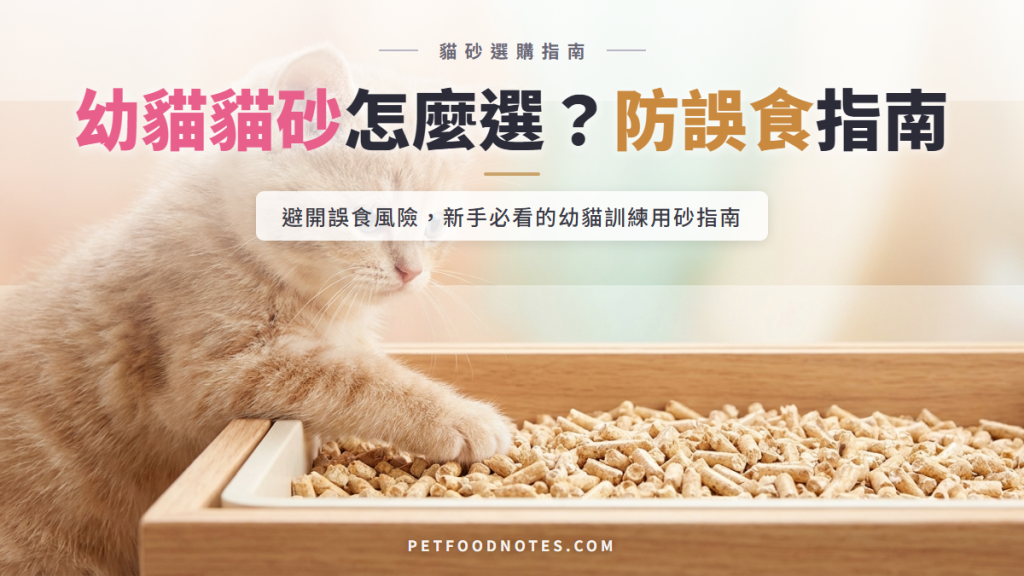 幼貓貓砂怎麼選：誤食風險與訓練用砂指南