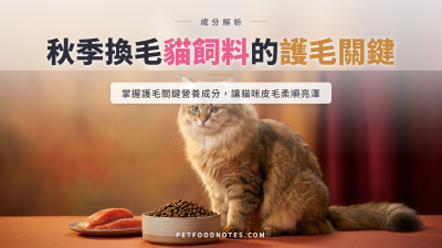 秋季換毛期貓飼料：皮毛亮澤的營養關鍵成分