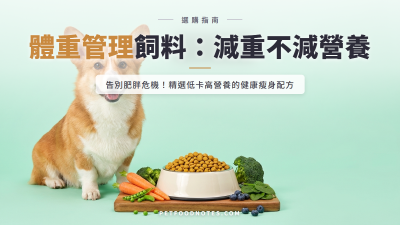 體重管理飼料推薦：減重不減營養的選擇