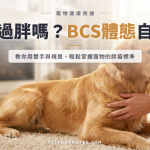 毛孩體態評分教學：BCS 九分制自己在家測