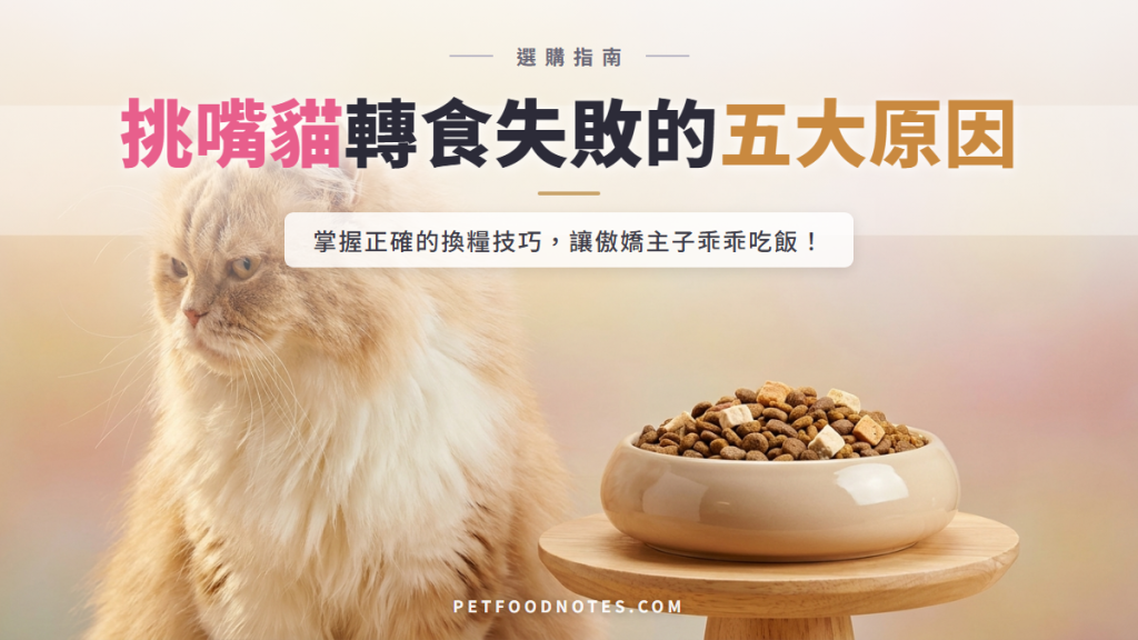 挑嘴貓飼料挑選攻略：轉食失敗的五個常見原因