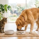 獸醫師專業分析無穀與有穀狗飼料的差異比較表